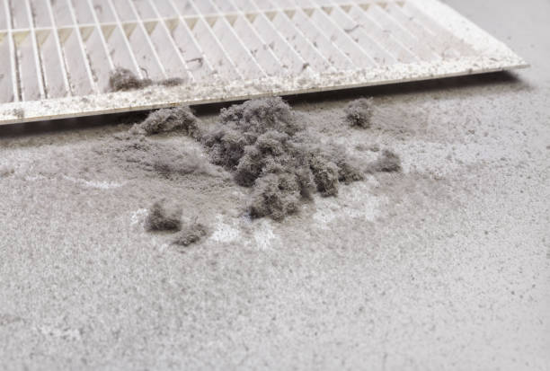 Best Affordable Air Duct Cleaning  in Kenilworth, NJ